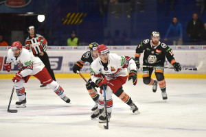 dsc_9874 kopie.jpg
